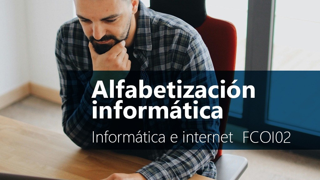 Curso de Alfabetizaci&oacute;n Inform&aacute;tica (FCOI02)