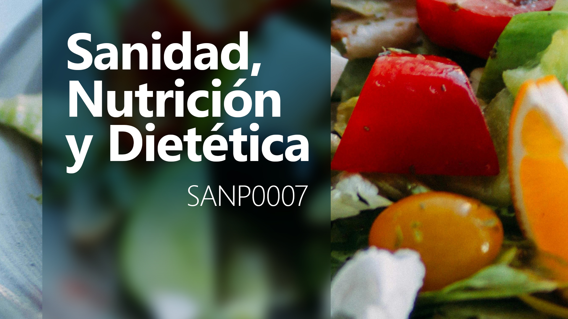 Curso de Salud, Nutrici&oacute;n y Diet&eacute;tica (SANP0007)