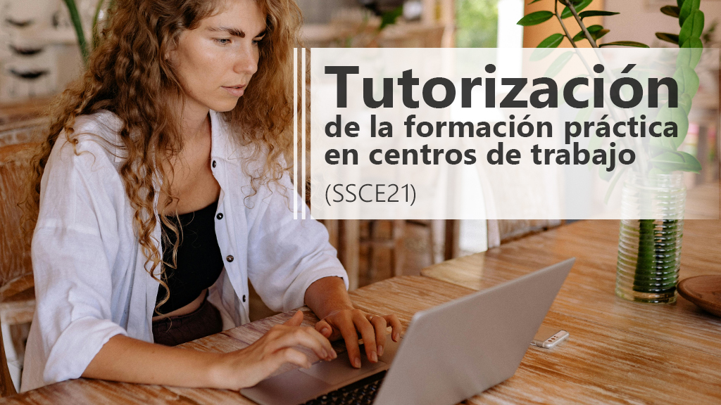 Curso de Tutorizaci&oacute;n de la formaci&oacute;n pr&aacute;ctica (SSCE21)