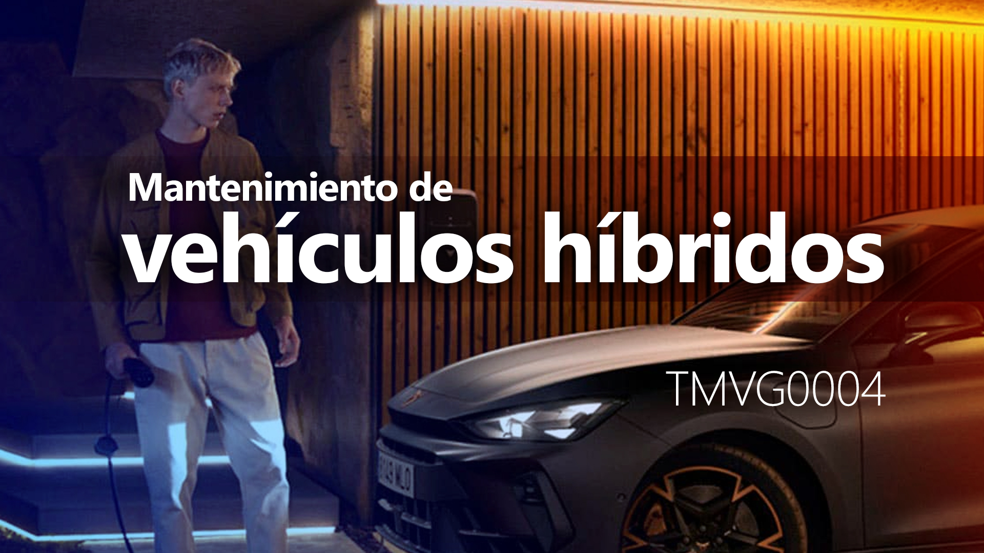Curso de Mantenimiento de veh&iacute;culos h&iacute;bridos (TMVG0004)
